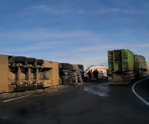 TIR încărcat cu aproape 200 de porci, răsturnat pe un drum din Cluj