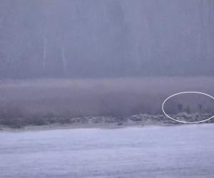 Trei soldați ruși în uniformă au intrat pe teritoriul NATO. Cum au pătruns pe teritoriul Estoniei