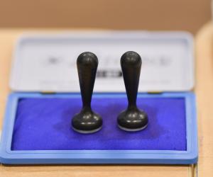 Studiu ARA: Câţi bucureşteni au ales un independent şi câţi un suveranist până la ora 13:00