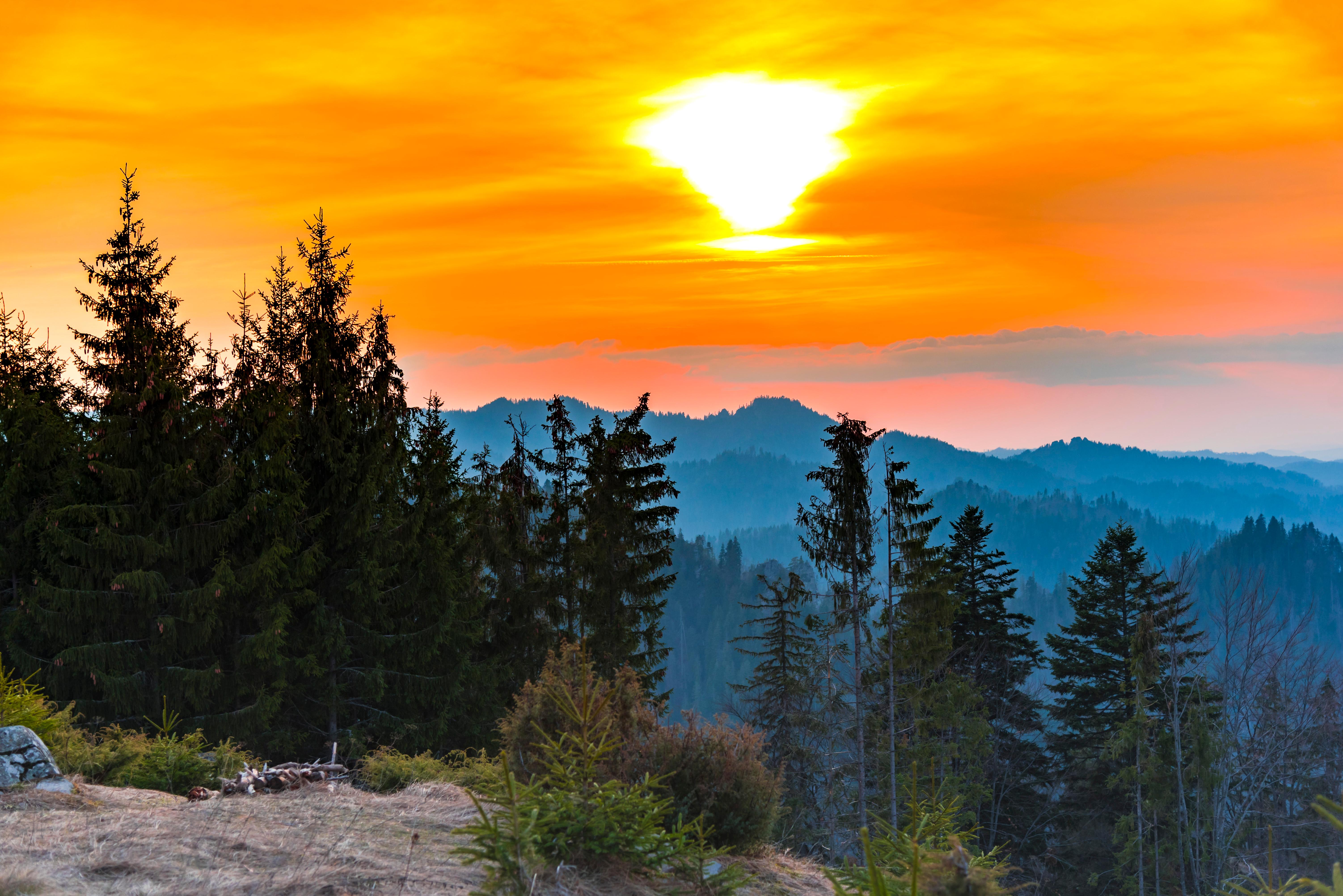 [Observator][10/02/2025] Prognoza meteo 10 23 februarie 2025. Vremea