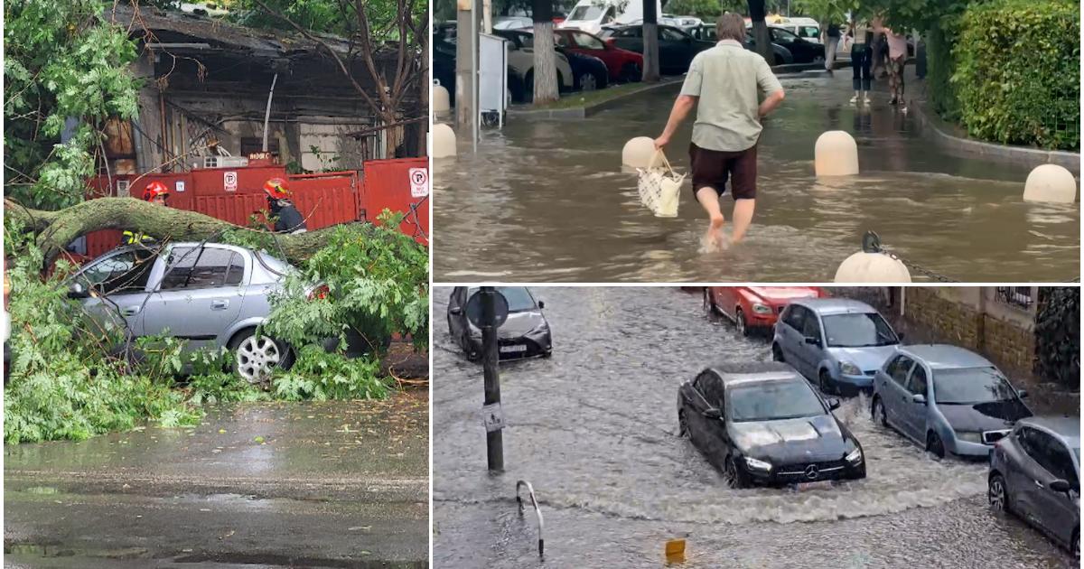 Imaginile dezastrului după furtuna din Capitală. Străzi şi scări de bloc inundate, copaci doborâţi de vânt