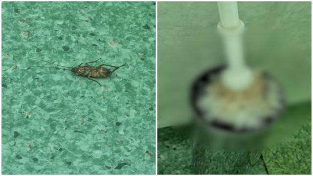 Ministrul Sănătăţii cere demisia şefului de secţie de la Floreasca, după scandalul gândacilor pe perfuzii