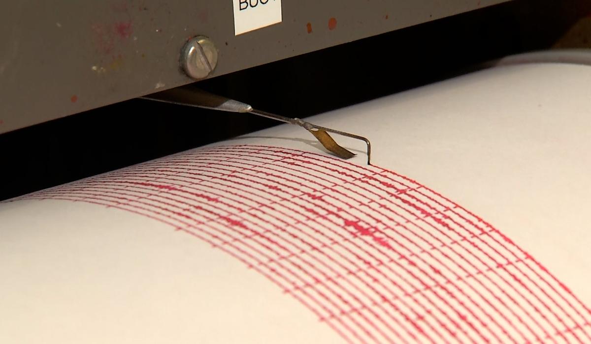 Cutremur în Vrancea, produs în timpul nopţii. Ce magnitudine a avut seismul
