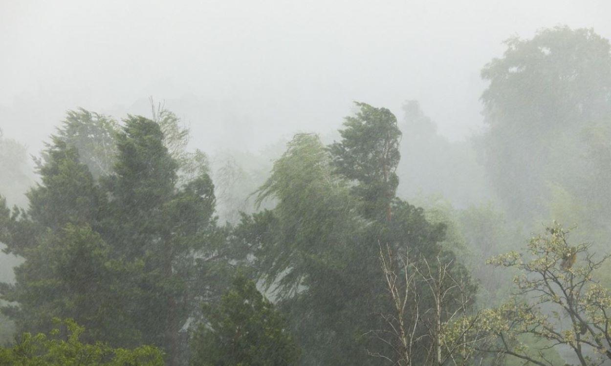 ANM a actualizat prognoza meteo pentru următoarele 4 săptămâni. Vremea în România până pe 1 septembrie
