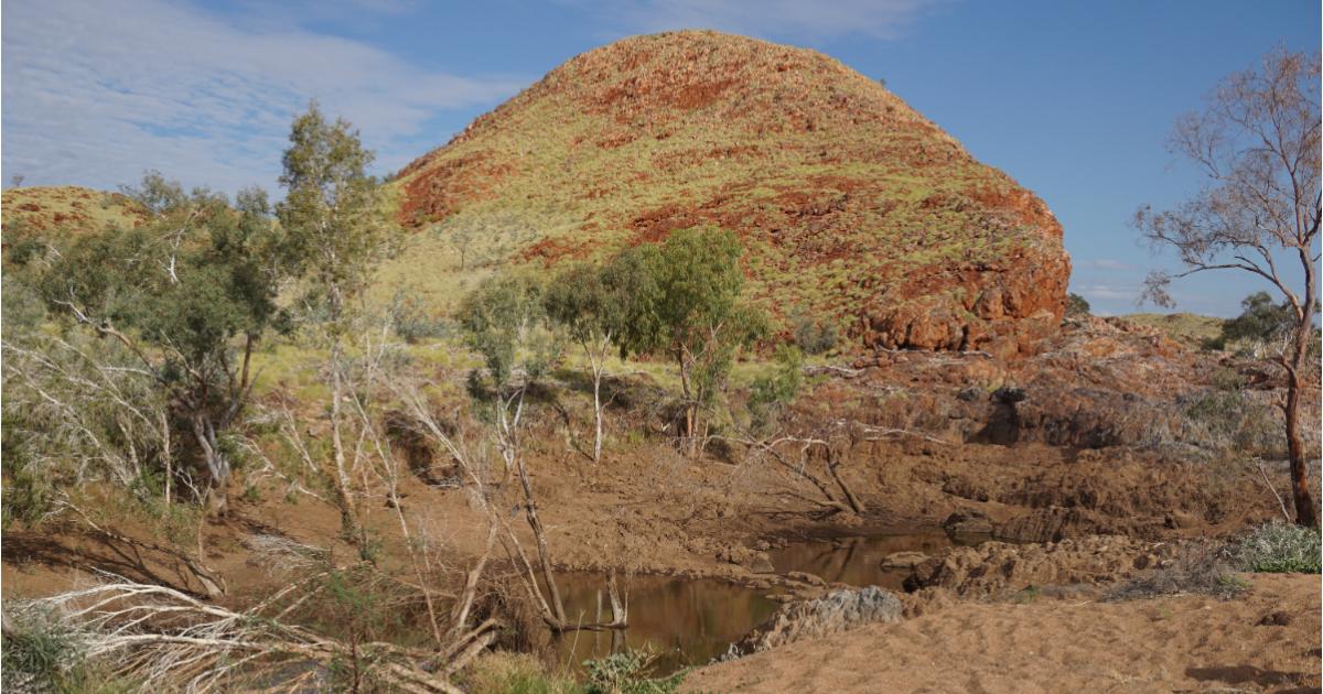 Poza pentru articolul Viaţa în cel mai fierbinte oraş din lume. Temperaturile ajung la 47 grade în ianuarie şi asfaltul se topeşte