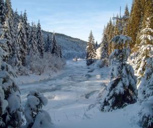 Judeţul în care zăpada a ajuns şi la 2 metri. Ger extrem, anunţat în weekend