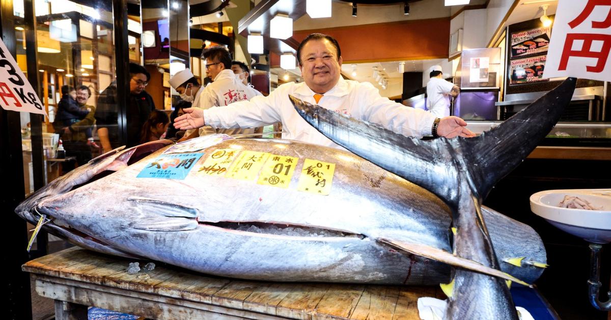 Poza pentru articolul Ton roșu uriaș vândut la un preț record de 3,2 milioane de dolari. Cine l-a cumpărat