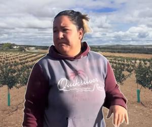 Marinela din Spania caută muncitori pentru tăierea "aurului verde". Singura condiţie pentru angajare