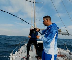 Specia rară, originară din Pacific, care a ajuns în apele litoralului românesc. Un kilogram costă 63 de lei