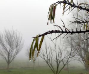 Cea mai rece dimineață de la începutul toamnei. Temperaturile au coborât până la -6 grade