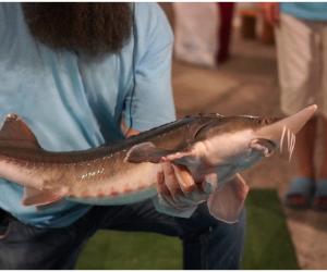 O fermă a dat lovitura cu o delicatesă care se vinde cu 8.000 de euro kilogramul