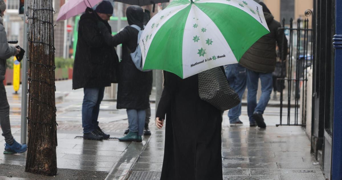 Coduri portocalii şi galbene de ninsoare şi vânt puternic în 7 judeţe. Care sunt zonele vizate