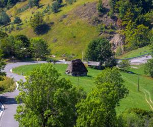 Comuna în care se mută tot mai multe familii tinere, de la sute de km distanţă. Preţul terenurilor a explodat