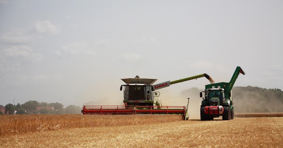 Criză în agricultură: insolvențele au explodat cu 182%. Fermierii pierd bani chiar și după recolte record