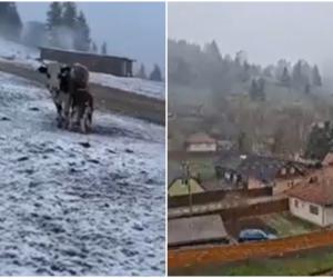 Locul din România unde s-au înregistrat -9°C la final de aprilie. În Suceava a nins ca în plină iarnă