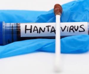 Hantavirusul, la granița cu România: "În Ucraina se înregistrează anual zeci de cazuri"