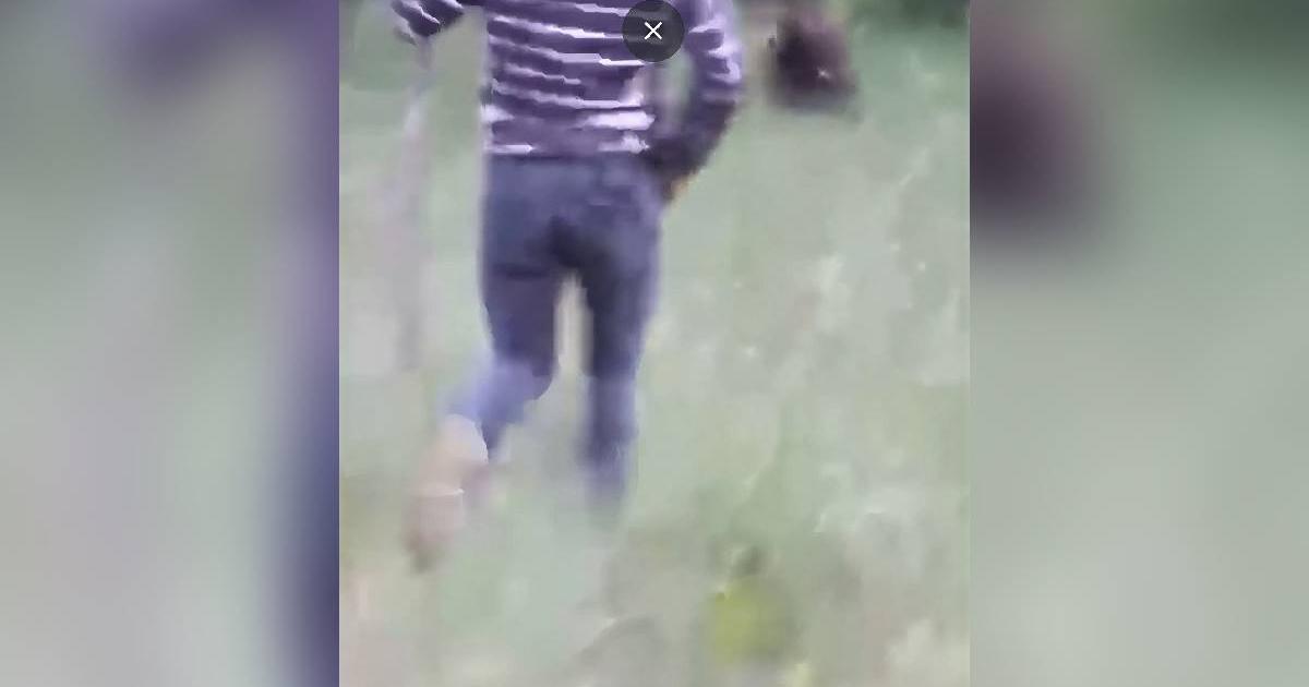 Momentul în care un urs este fugărit cu lopata de un localnic din Vâlcea. Avertismentul autorităţilor