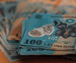 Ce venituri cresc şi ce sporuri dispar odată cu noua lege a salarizării unitare