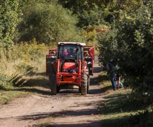 Salariu de 50 € pe zi, cazare şi mese asigurate. Se caută culegători pentru "aurul roşu" dintr-o ţară vecină