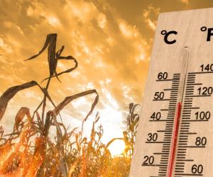 Vreme la extreme în România: Val de caniculă şi furtuni în aproape jumătate din ţară. Arşiţă, până miercuri