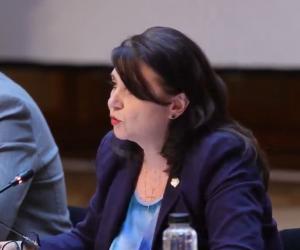 Monica Anisie, propusă pentru Ministerul Educaţiei, răspunsuri cu ChatGPT în comisie