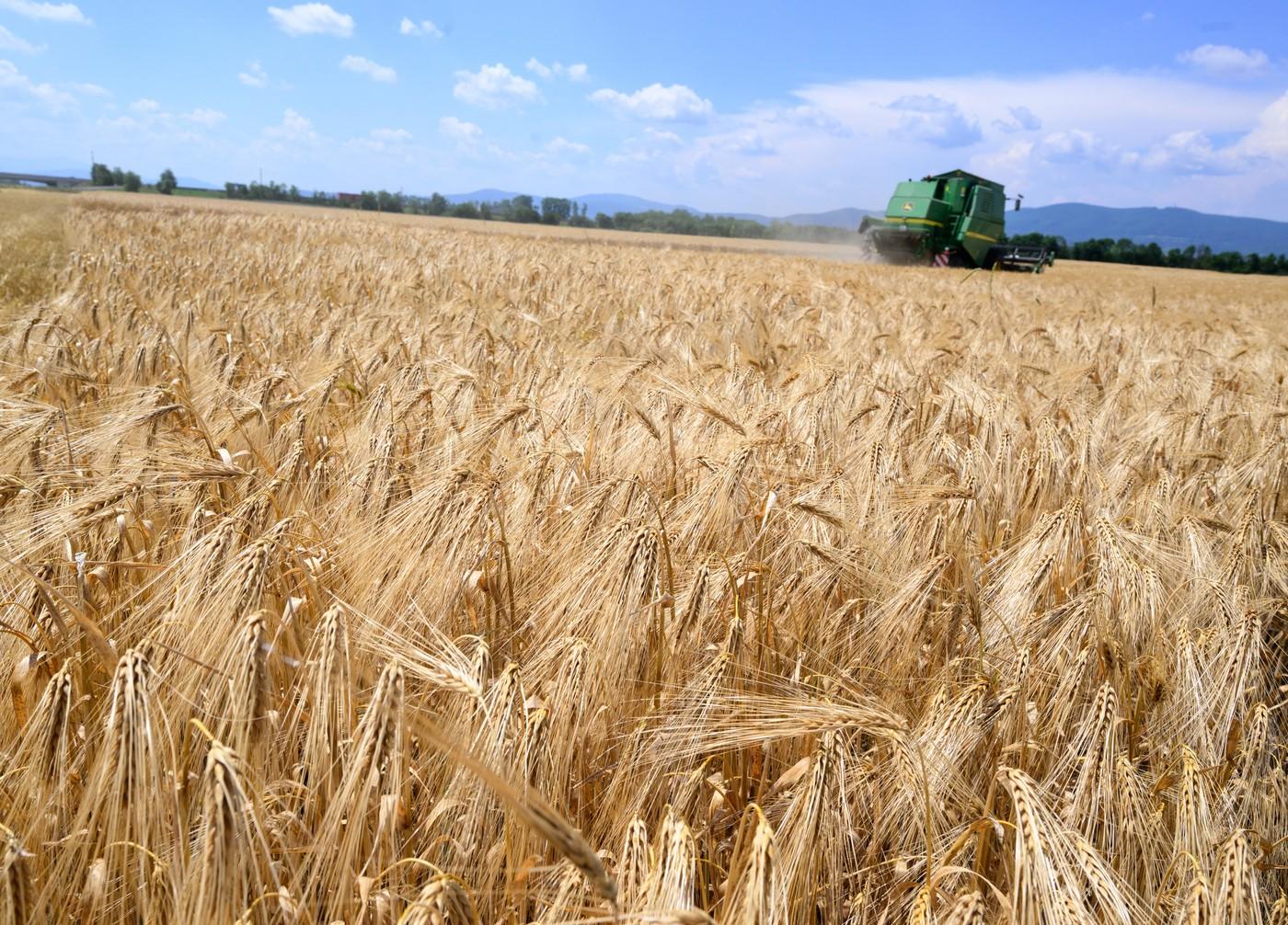 Fermierii români primesc bani de la UE până în 2027