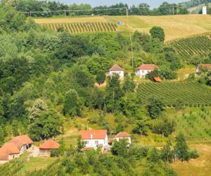 Oraşul care a renăscut datorită exportului de "aur roşu" în întreaga lume