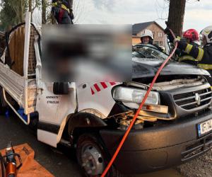 Un bărbat a murit în mașina lovită în mers de un copac doborât de furtună, în Ilfov
