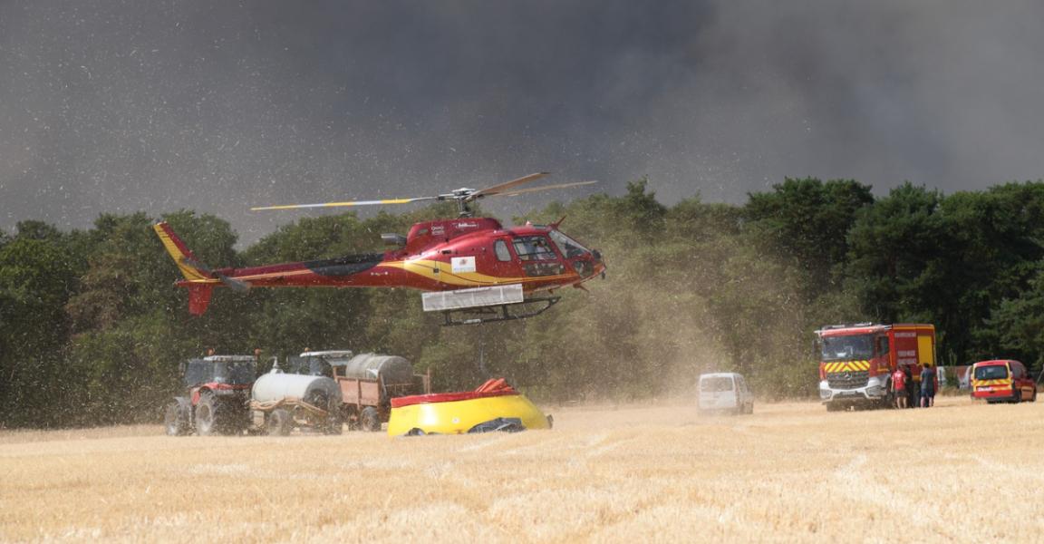 Peste 800 de hectare din pădurea Fontainebleau s-au făcut scrum. 900 de oameni, evacuați din calea flăcărilor