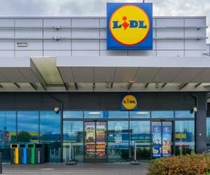 Alertă alimentară: Cea mai vândută îngheţată din România, retrasă de pe rafturile Lidl