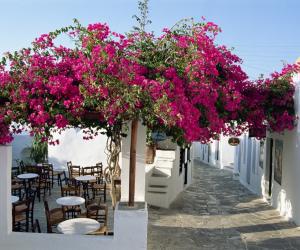 Insula din Grecia care i-a cucerit pe turişti în 2026
