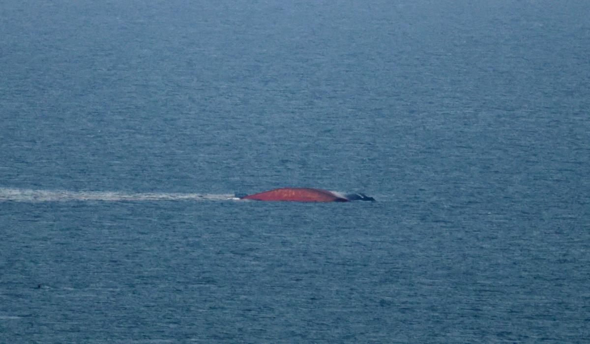 Nava "Golden Leo", lovită de forțele ruse, s-a scufundat în Marea Neagră, în apropiere de Odesa