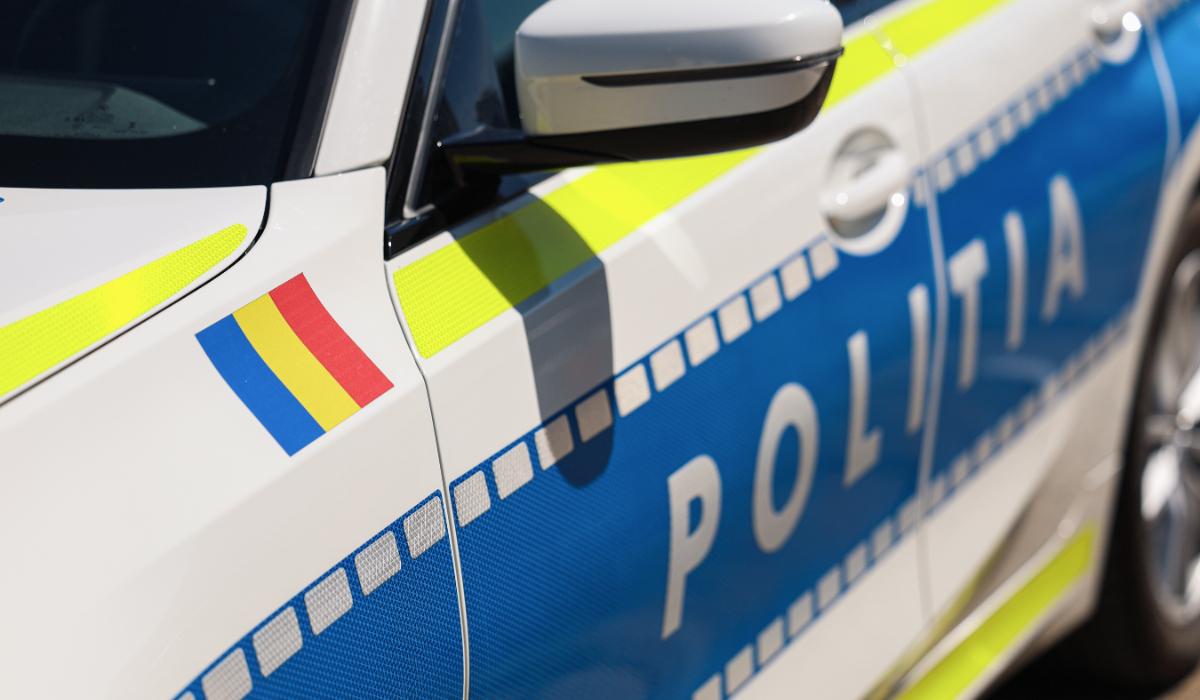 Trei angajați de la ocolul silvic Brașov, reținuți pentru tăieri ilegale și delapidare