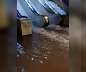 Surse: Caz de infectare cu Legionella la Metrorex după inundații. Angajaţii, îndemnați să meargă la Matei Balş