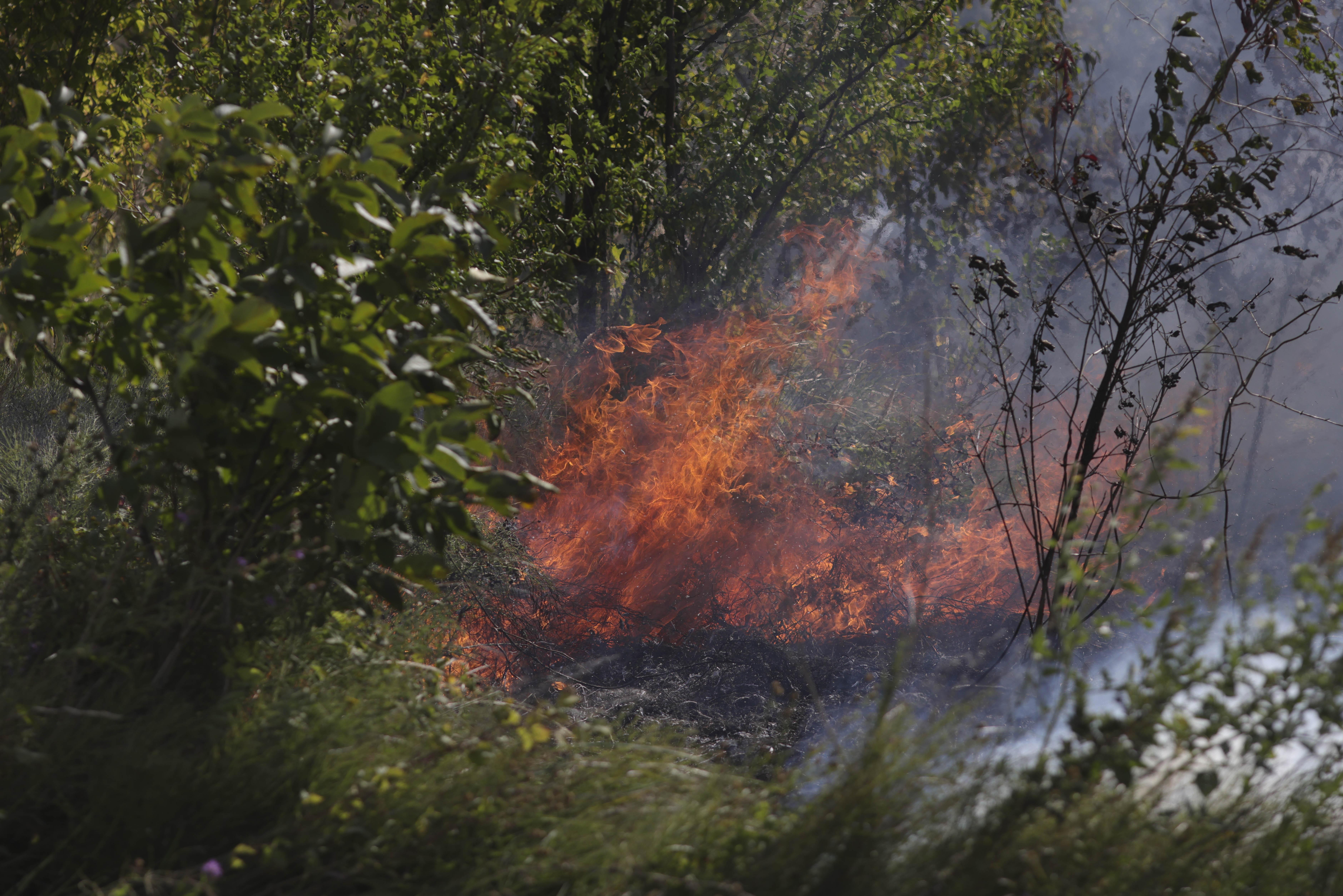 Incendii de vegetație în vestul țării: elicopter Black Hawk și zeci de pompieri, mobilizați