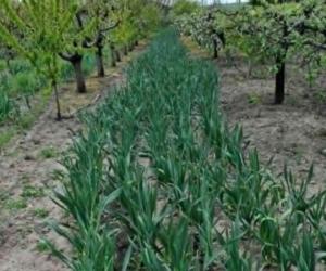 Afacerea cu care Cosmin a dat lovitura, dintr-o întâmplare. Vinde kg cu 30 de lei şi nu mai face faţă cererii