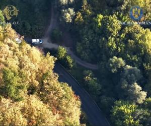 "Fermă" de canabis pe malul Mureșului. Plantaţia era ascunsă printre legume şi supravegheată video