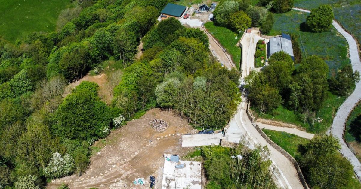 O pădure veche de 500 de ani, defrişată ilegal pentru turişti. "Rechinul" imobiliar a primit o lovitură grea