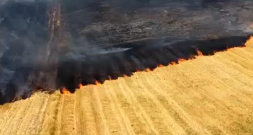 Recomandările ISU pentru evitarea incendiilor de vegetaţie în timpul caniculei
