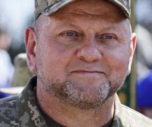 Zalujnîi spulberă visele ucrainenilor: "Nu vom intra niciodată în NATO, nu mai credeţi în poveşti"