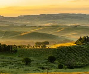 Cazare gratuită într-o vilă din Toscana, la câteva minute de plajă. Ce trebuie să faci în schimb