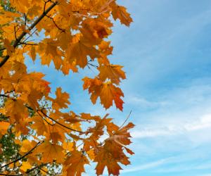Temperaturi neobişnuite în luna septembrie. Când se încheie valul de caniculă