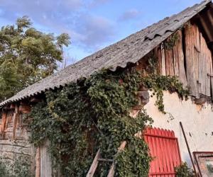 Satul în care o casă cu 2 camere se vinde cu 5.500 de euro. Preţul e negociabil cu o condiţie