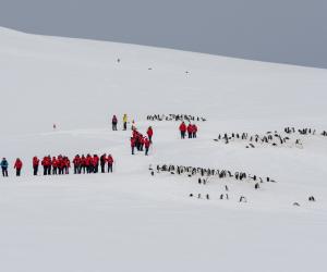 Locuri de muncă în Antarctica, cu salarii de peste 110.000 de dolari. Şi românii pot aplica