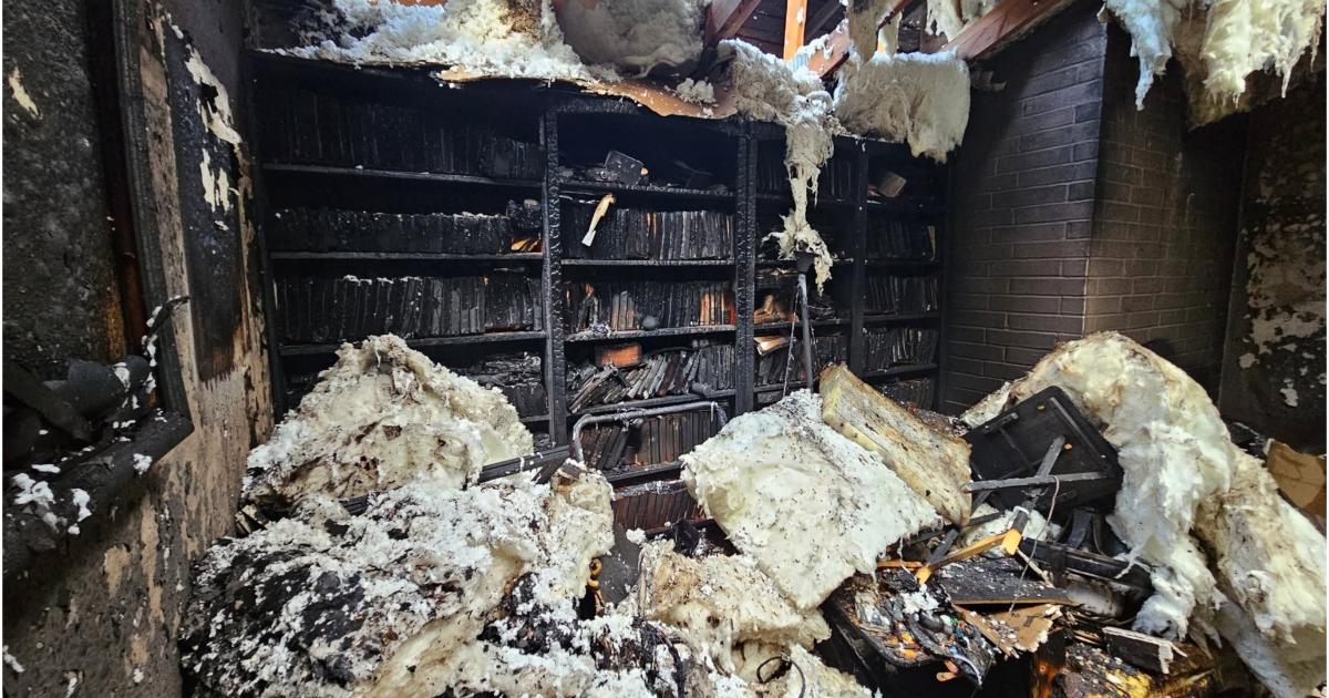 Poza pentru articolul O femeie și-a pierdut casa și pisicile "în 10 minute", după un incendiu provocat de un obiect banal