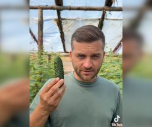 Comuna unde se dau castraveţi gratis, cu o condiţie: "Puteți să faceți afaceri cu ei, nu mă interesează"
