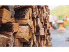 Prețul lemnelor pentru foc ar putea fi plafonat