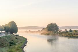 Poluare masivă pe râul Oder, de-a lungul graniţei dintre Germania şi Polonia: tone de pești morți