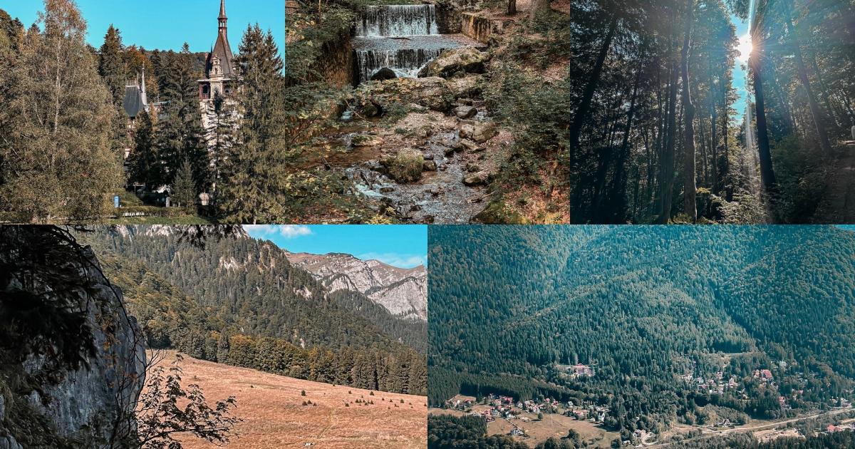 Poteca Image Cum ajungi pe Poteca Regală din Sinaia. Traseu uşor şi frumos către ...