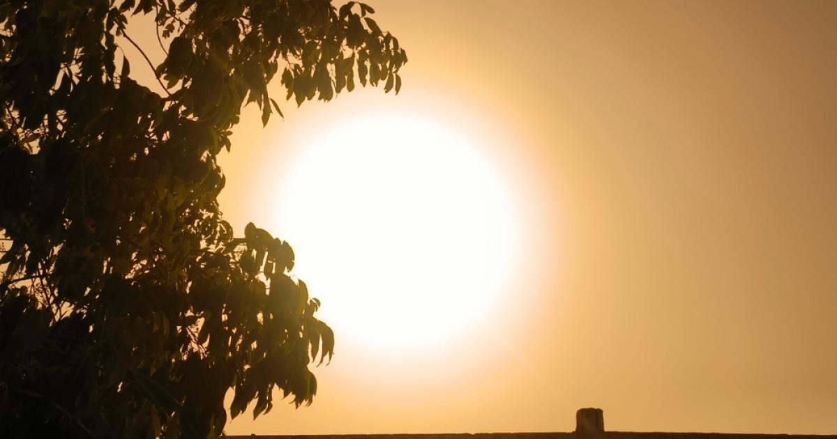 Temperatura Pământului în 2024 a fost cea mai fierbinte înregistrată ...